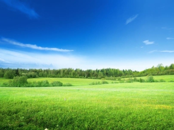Terrain de 429m² à vendre à Dompierre-sur-Yon (85)