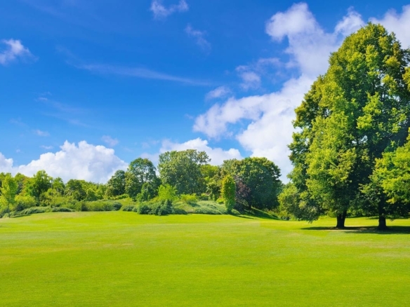 Terrain de 326m² à vendre à Mouilleron-le-Captif (85)