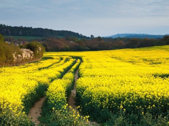 Terrain de 479m² à vendre à Le Poiré-sur-Vie (85)