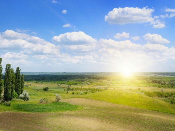 Terrain de 372m² à vendre à Saint-Florent-des-Bois (85)