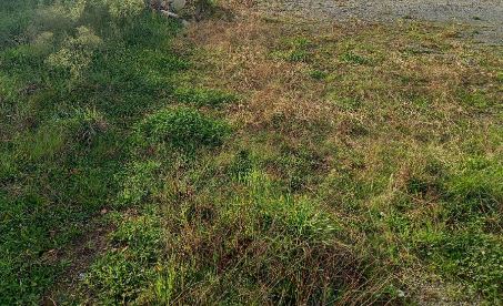 Terrain de 350m² à vendre à Arthon-en-Retz (44)