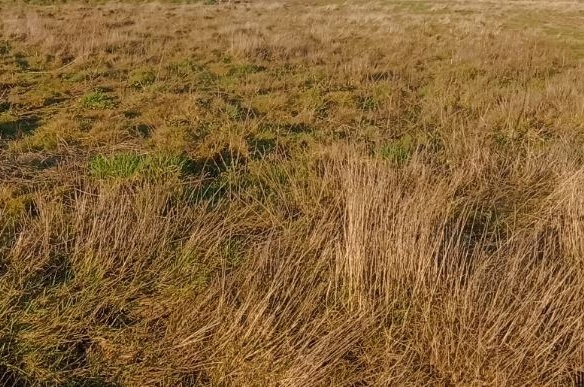 Terrain de 400m² à vendre à Vue (44)