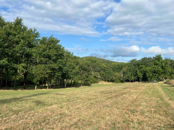 Terrain de 2 000m² à vendre à Gourdon (46)