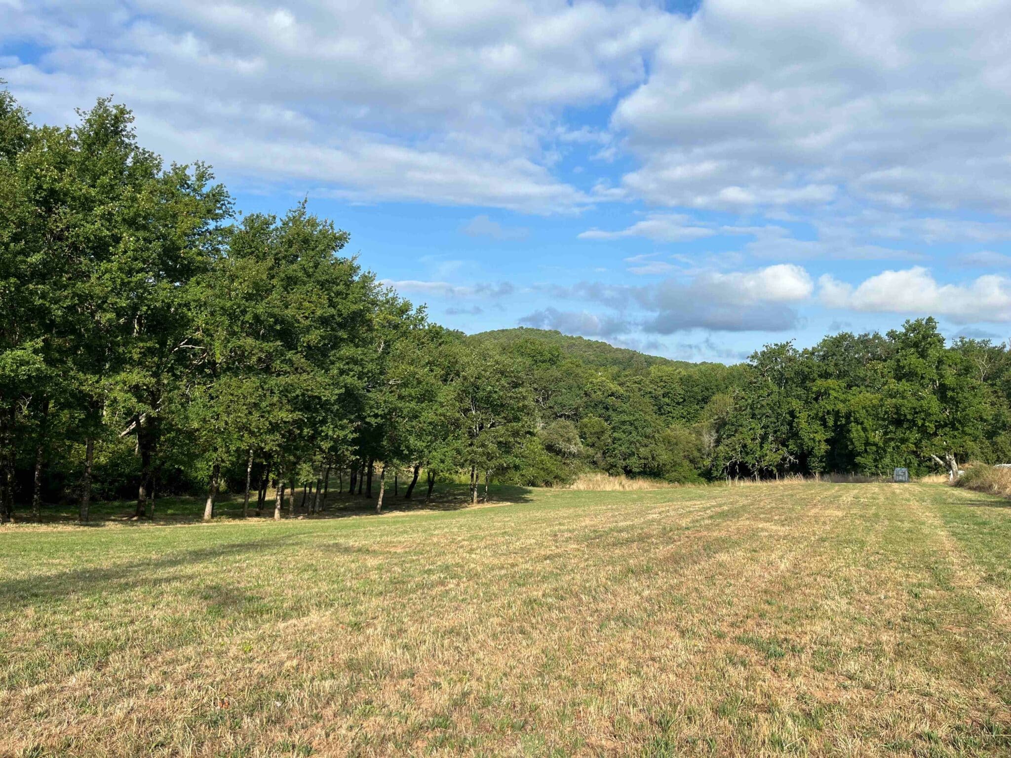 Terrain de 2 000m² à vendre à Gourdon (46)